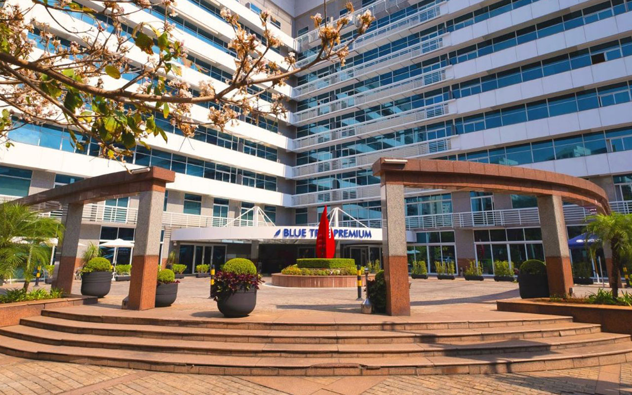 Blue Tree Verbo Divino